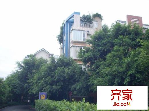金科天籟城美社