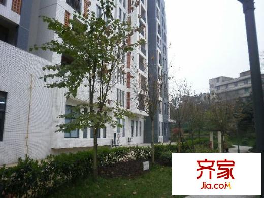 澤科興城外景圖