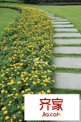 華歐理想城外景圖 