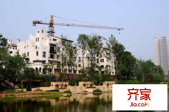隆鑫花漾湖實(shí)景圖
