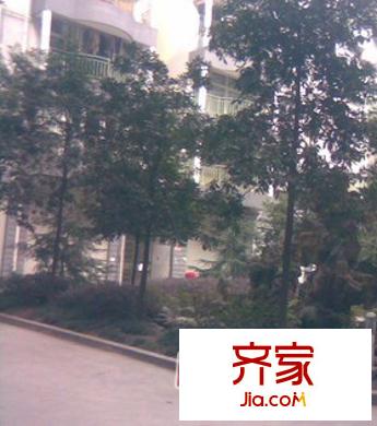 華天俊秀外景圖