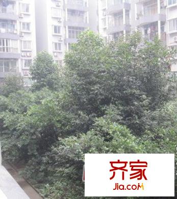 華天俊秀外景圖