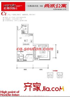 紅鼎國際名苑戶型圖C戶型 1室1廳1衛(wèi)1廚