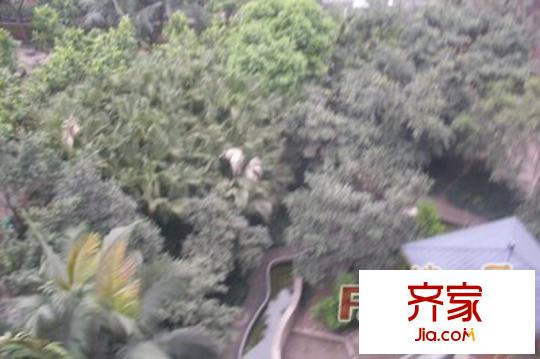 立源地小區(qū)外景圖立源地5