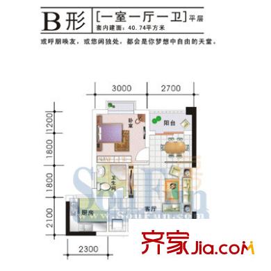 聚維書香世家 5