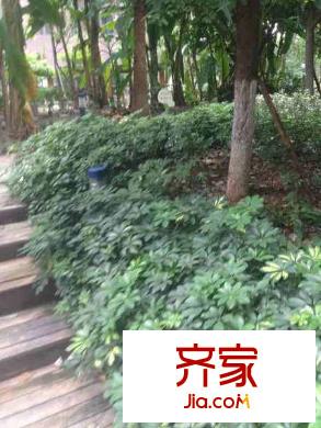 錦江酈城外景圖 