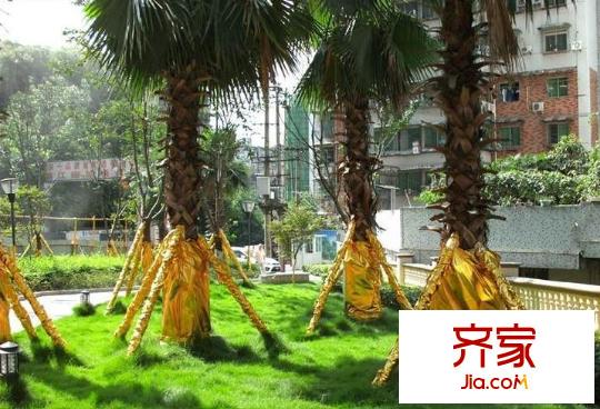 錦江酈城外景圖