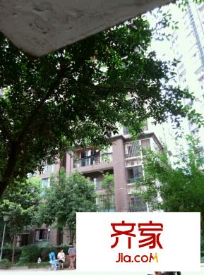 錦江酈城外景圖 