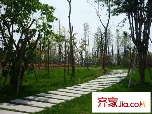 中庚城項目周邊500米處市政公園