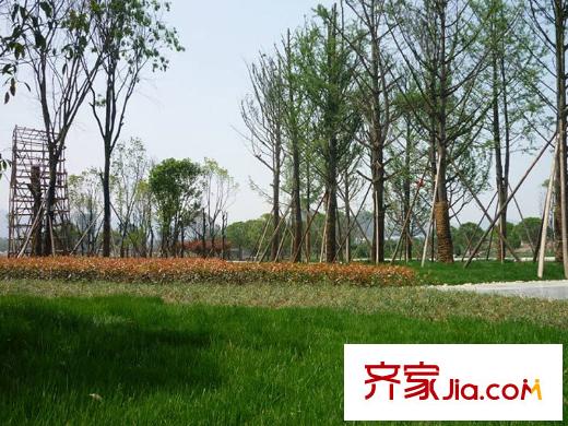 中庚城項目周邊500米處市政公園