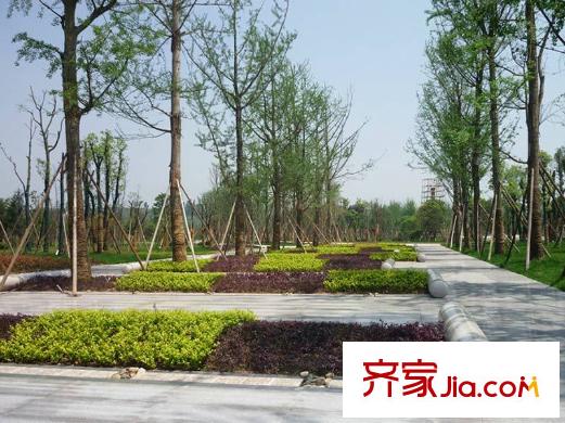 中庚城項目周邊500米處市政公園