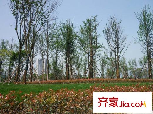 中庚城項(xiàng)目周邊500米處市政公園