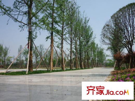 中庚城項目周邊500米處市政公園