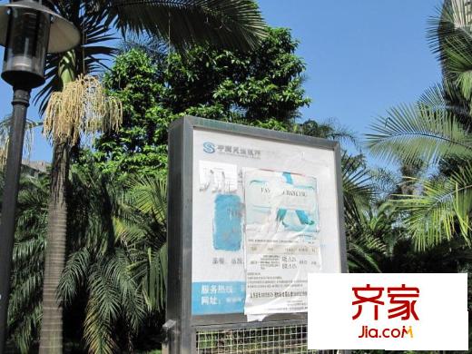 電力