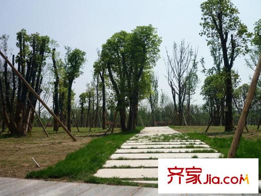 中庚城項目周邊500米處市政公園