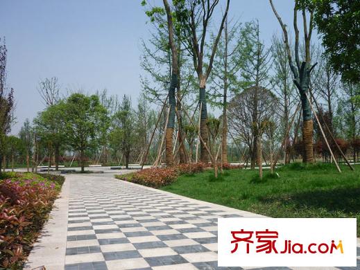 中庚城項目周邊500米處市政公園