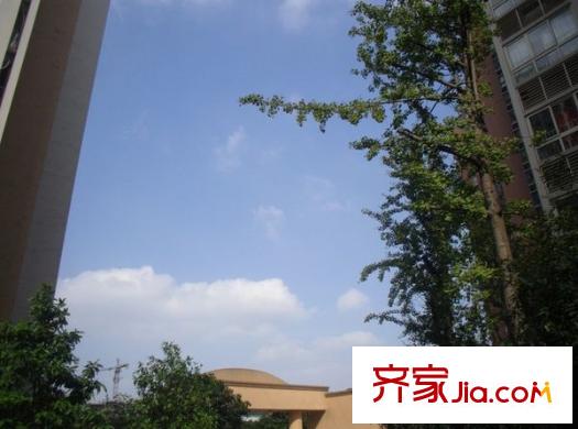 春光港灣配套圖 周邊配套