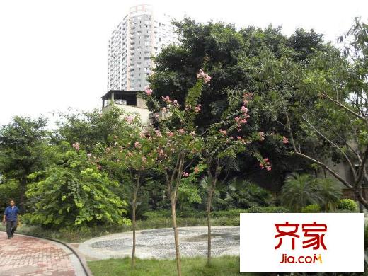 金象左右SOLO公寓外景圖