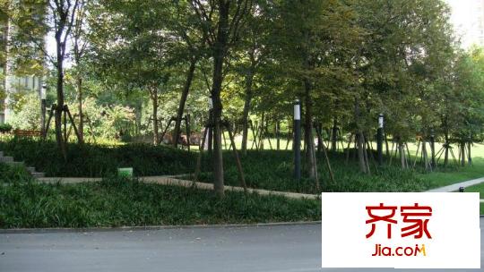中興渝景苑外景圖