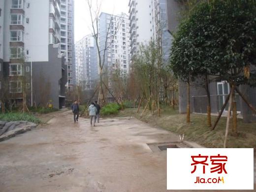 泰吉濱江外景圖 