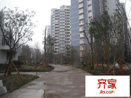 泰吉濱江外景圖