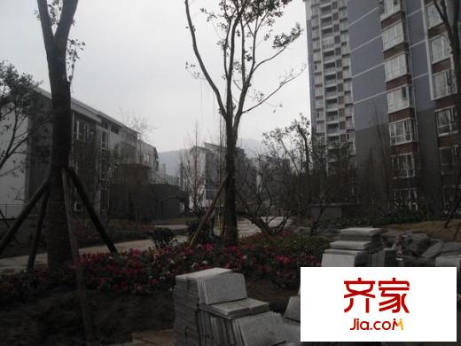 泰吉濱江