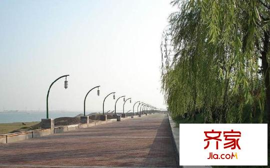泰吉濱江外景圖