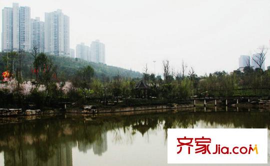 協(xié)信天驕俊園配套圖龍頭寺森林公園