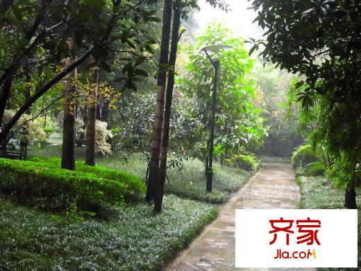 協(xié)信天驕俊園外景圖 