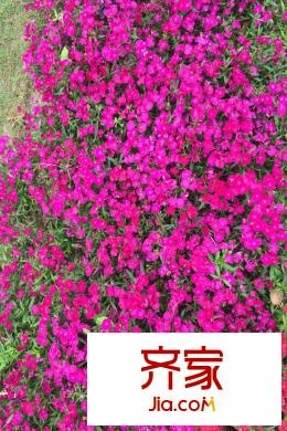 渝能嘉灣壹號(hào)小區(qū)（2015.04.14）