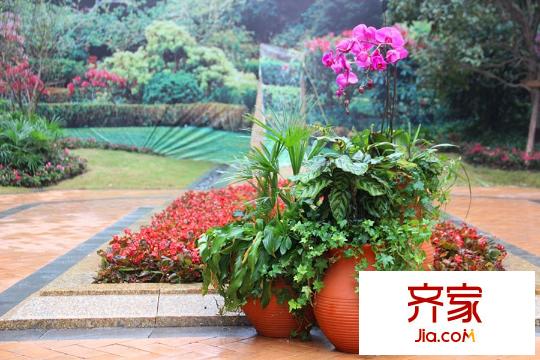 英利獅城花園小區(qū)景觀（2014-10）