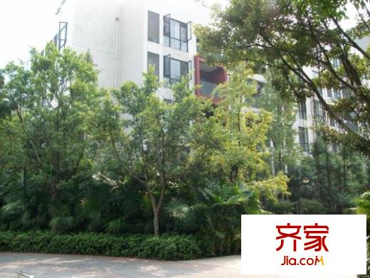 融科海闊天空外景圖