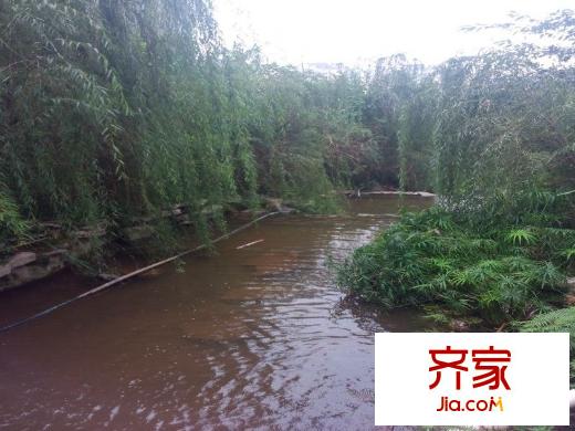 納帕溪谷外景圖 