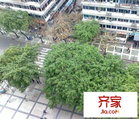 鉑藍地外景圖