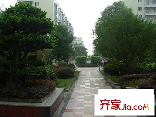 瑞豐花苑配套圖周邊