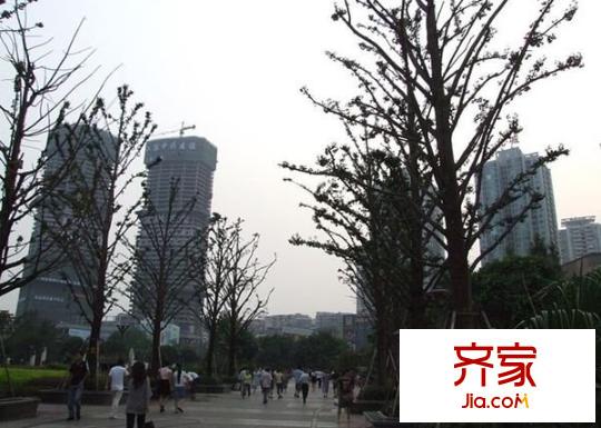 北城旺角外景圖 