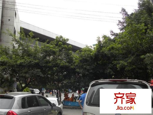 西信?洲際花園外景圖洲際半島新城