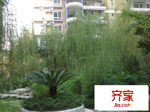 加州城市花園外景圖