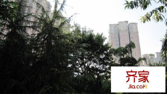 加州城市花園外景圖