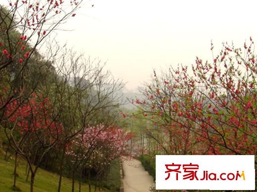 中海北濱華庭配套圖周邊石門公園