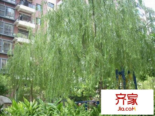 臨華路小區(qū)外景圖 