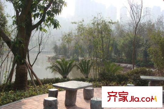 招商晶公館項目旁的龍頭寺公園實景
