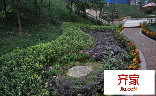 香堤花徑實景圖小區(qū)（2011.11）