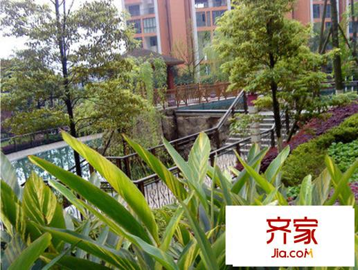 渝中名郡外景圖