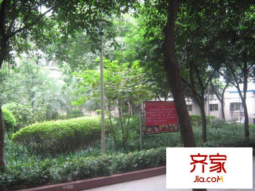 枇杷山正街小區(qū)外景圖