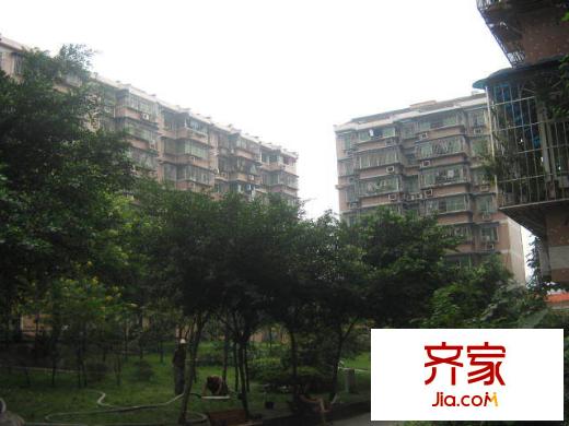 枇杷山正街小區(qū)外景圖