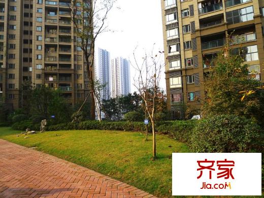 金科陽光小鎮(zhèn)天天向上外景圖 