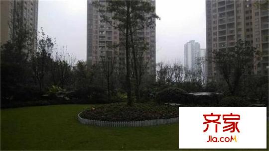 金科陽光小鎮(zhèn)天天向上外景圖 