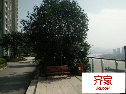 金科visar國際外景圖 