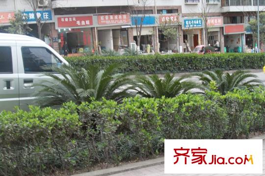 天高鴻苑配套圖外景圖